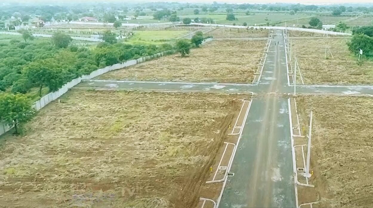 possession soon , green swing